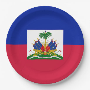 Patriotische haitianische Flagge Pappteller