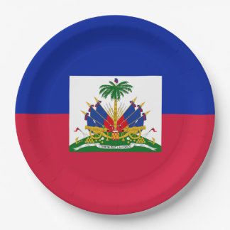 Patriotische haitianische Flagge Pappteller