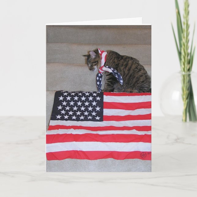 Patriotische Katzen-Karte Karte (Vorderseite)