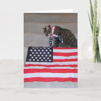 Patriotische Katzen-Karte Karte