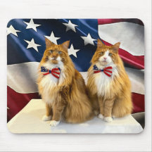 Patriotische Katzen
