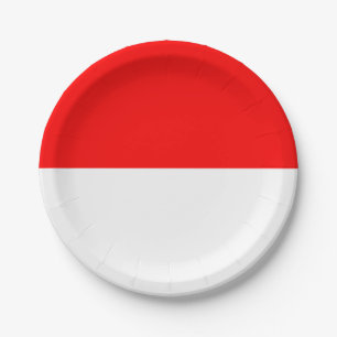Patriotische Papierplatte mit Flagge Indonesiens Pappteller