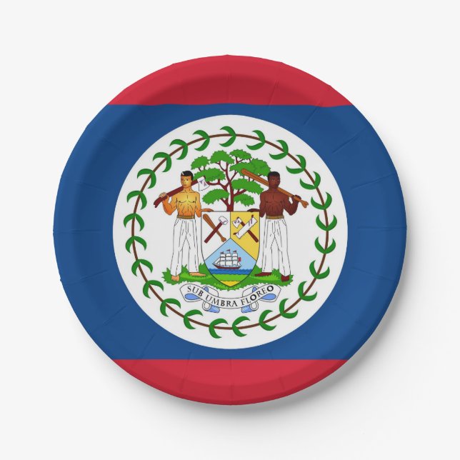 Patriotische Papierplatte mit Flagge von Belize Pappteller (Vorderseite)