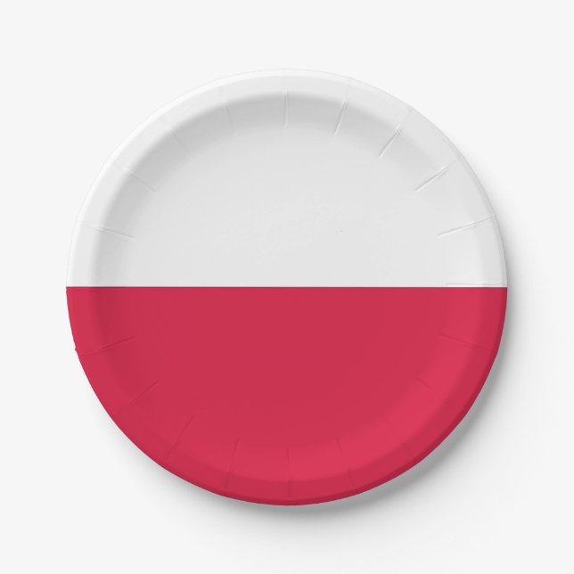 Patriotische Papiertafel mit polnischer Flagge Pappteller (Vorderseite)