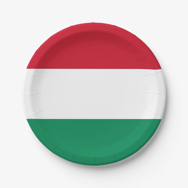 Patriotische Papiertafel mit ungarischer Flagge Pappteller (Vorderseite)