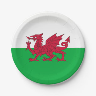 Patriotische Papiertafel mit Wales-Flagge Pappteller