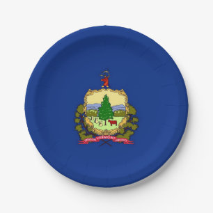 Patriotische Papiertüte mit Vermont-Flagge Pappteller