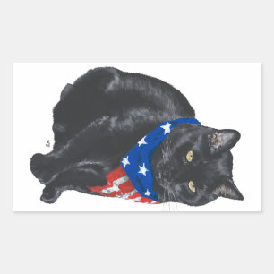 Patriotische schwarze Katzen-Aufkleber Rechteckiger Aufkleber