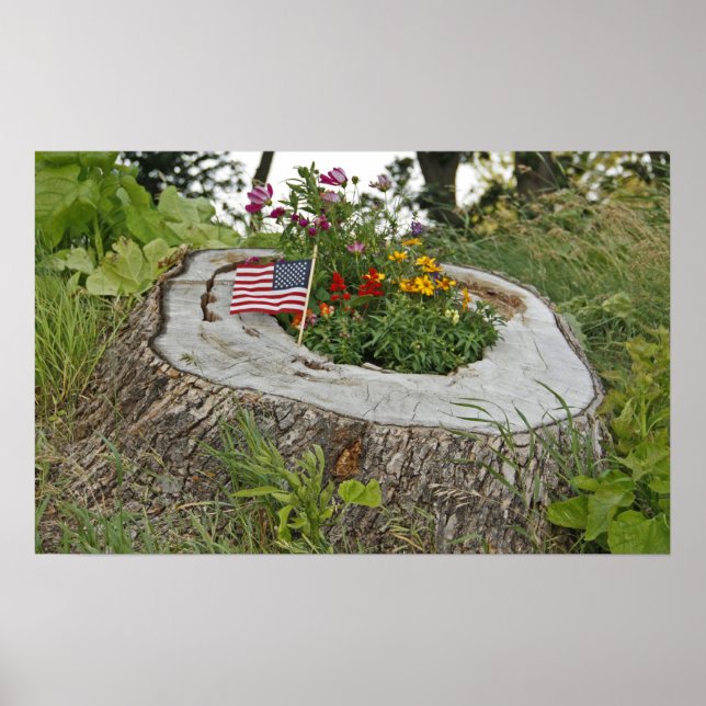 Patriotische Stump Poster (Vorne)