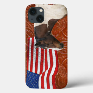 Patriotische US-Flagge, Pinto & Imitate Leather iPhone 13 Hülle