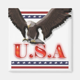 Patriotische USA Adlersteine Streifen Magnet