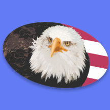Patriotischer Adler - Amerikanische Flagge - Unabh