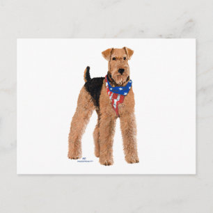 Patriotischer Airedale Terrier Postkarte