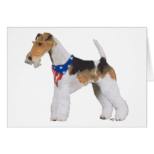 Patriotischer Drahthaar-Foxterrier