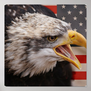 Patriotischer Eagle-Bild-Plakat-Druck Poster