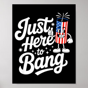 Patriotischer Feuerwerk-US-Flagge lustig 4. Juli Poster