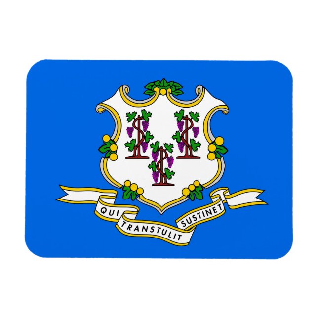 Patriotischer flexibler Magnet mit Connecticut-Fla (Horizontal)