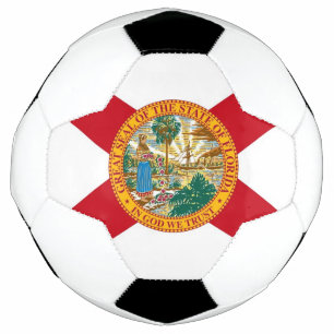 Patriotischer Fußball-Ball mit Flagge Floridas USA Fußball