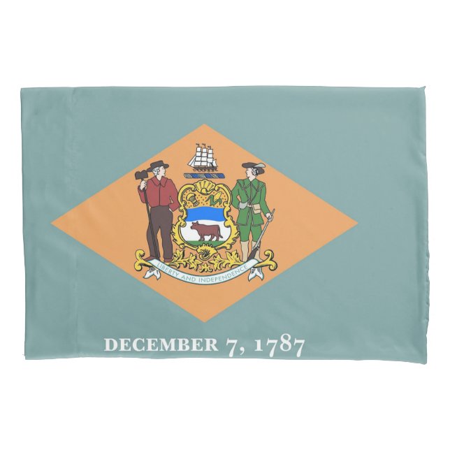 Patriotischer Single Pillowcase Fahne von Delaware Kissenbezug (Vorderseite)