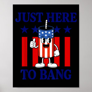 Patriotisches Feuerwerk USA Humor einfach hier um  Poster