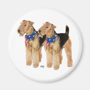 Patriotisches Flaggen-Duo Magnet