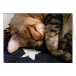 Patriotisches Nickerchen