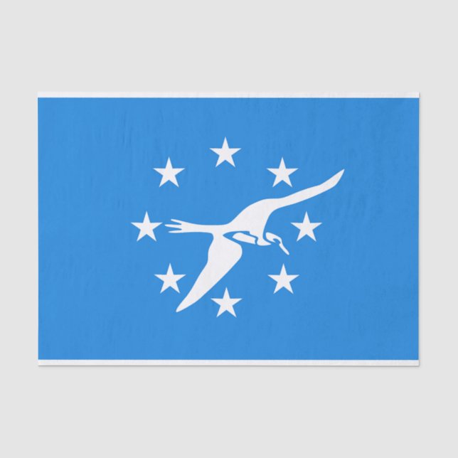 Patriotisches Papiertaschentuch mit der Flagge von Seidenpapier (Vorderseite)