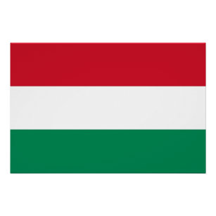 Patriotisches Poster mit Flagge Ungarns