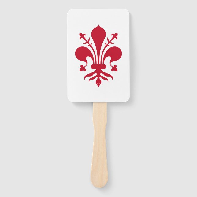Patriotisches Set der Fans mit der Fahne von Flore Fächer (Vorderseite)