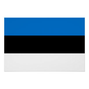 Patriotisches Wandplakat mit der Flagge Estlands Poster