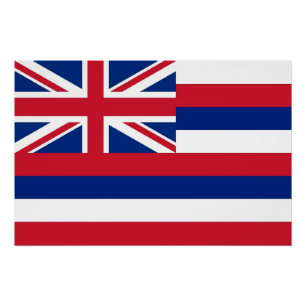Patriotisches Wandplakat mit Flag Hawaii Poster