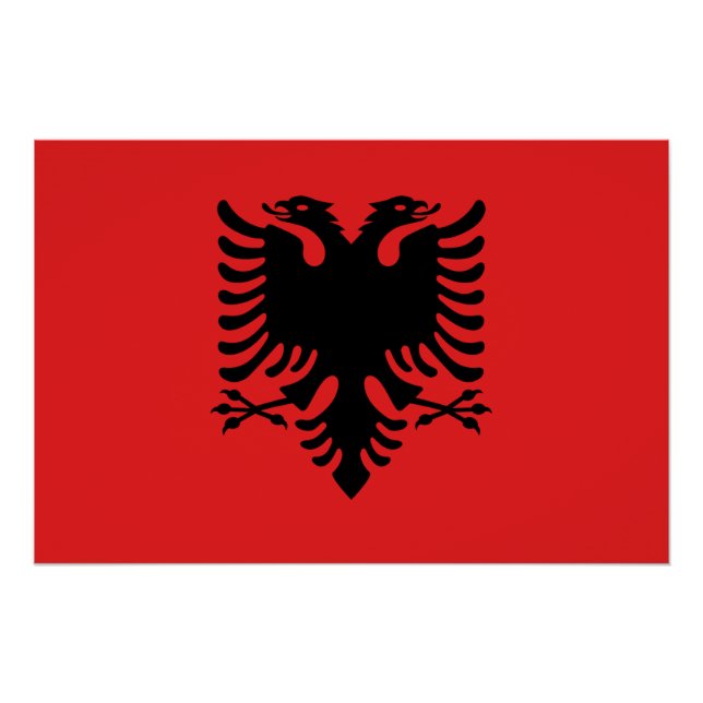 Patriotisches Wandplakat mit Flagge Albaniens Poster (Vorderseite)