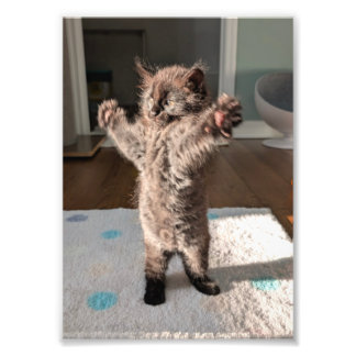Patsy der Bär Fotodruck