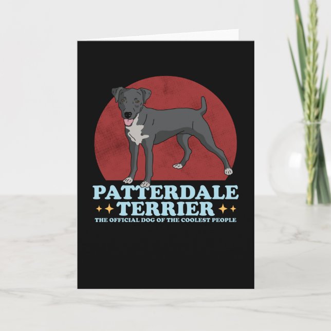 Patterdale Terrier Hund der Coolen Patterdales Karte (Vorderseite)