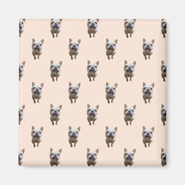 pattern_1_french bulldog_1 magnet (Vorne)