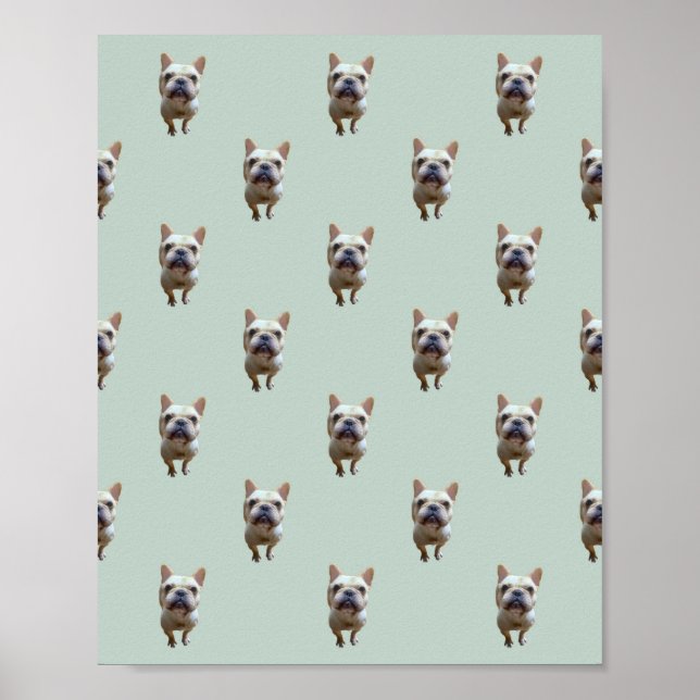 Pattern_2_French Bulldog_2_Mattposter Poster (Vorne)