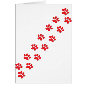 Pattes de chat Kitty