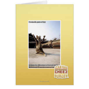 Pattes de shaolin de l'iz I de fureur