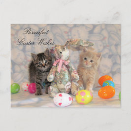 Patton & Buffington Osterpostcard - Katze / Kitten Feiertagspostkarte