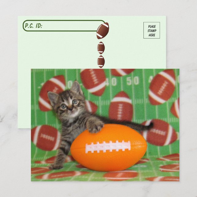 Patton Plays Football - Cat Postcard Postkarte (Vorne/Hinten)