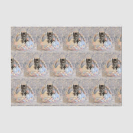 Patton's Osterkorb- Katze / Kitten Tissue Paper Seidenpapier