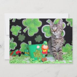 Patton's St. Patrick's Day Chat/ Kitten - Carte Pl