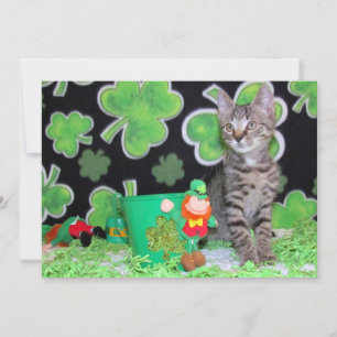 Patton's St. Patrick's Day Chat/ Kitten - Carte Pl
