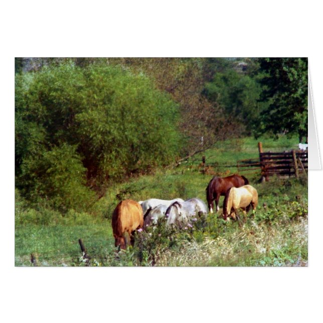 Pâturage 2 (Devant horizontal)