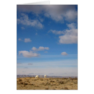 Pâturage de la chaîne de Wind River, le Wyoming