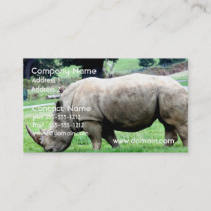 Pâturage des cartes de visite blancs de rhinocér