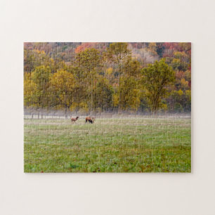 Pâturage Elk Couple Jigsaw Puzzle