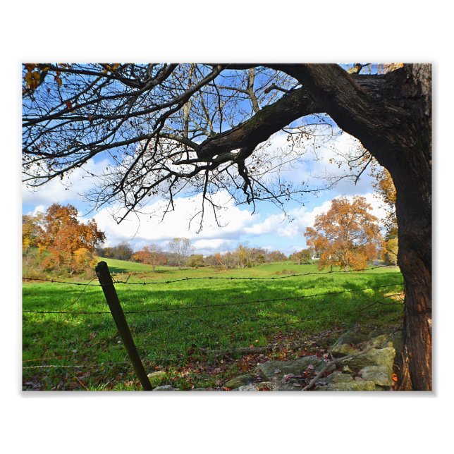 Pâturage en automne Photo Imprimer (Devant)