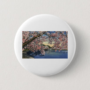 PAU43 Gezeiten- Basin.tif Button