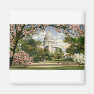 PAU46 US Capitol.tif Magnet